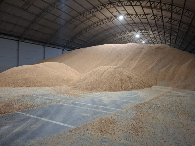 Wood pellets stored in a covered warehouse